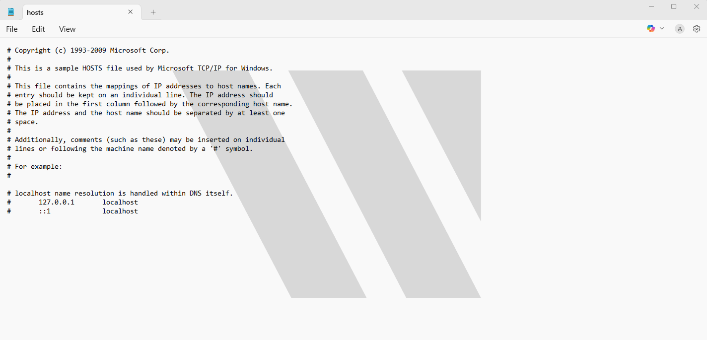 Check the Hosts File
