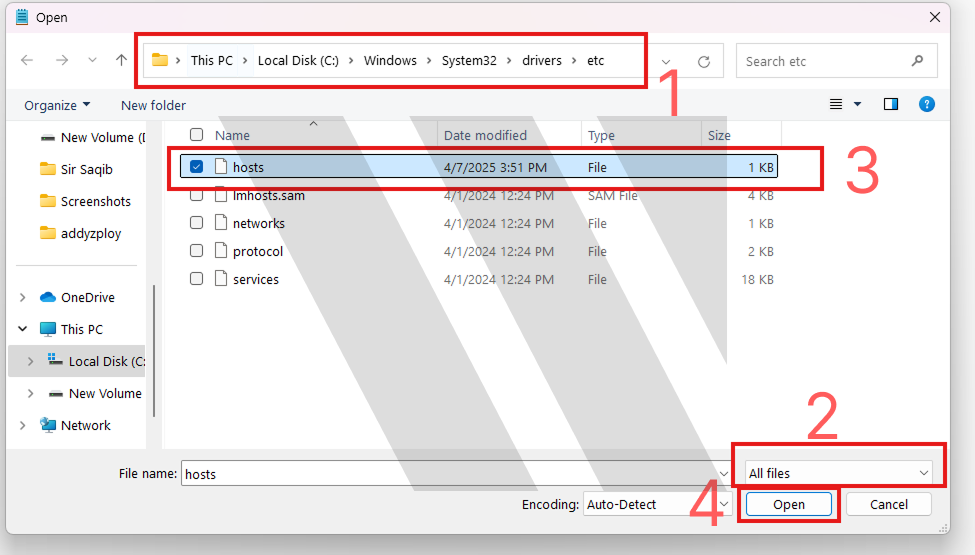 Check the Hosts File