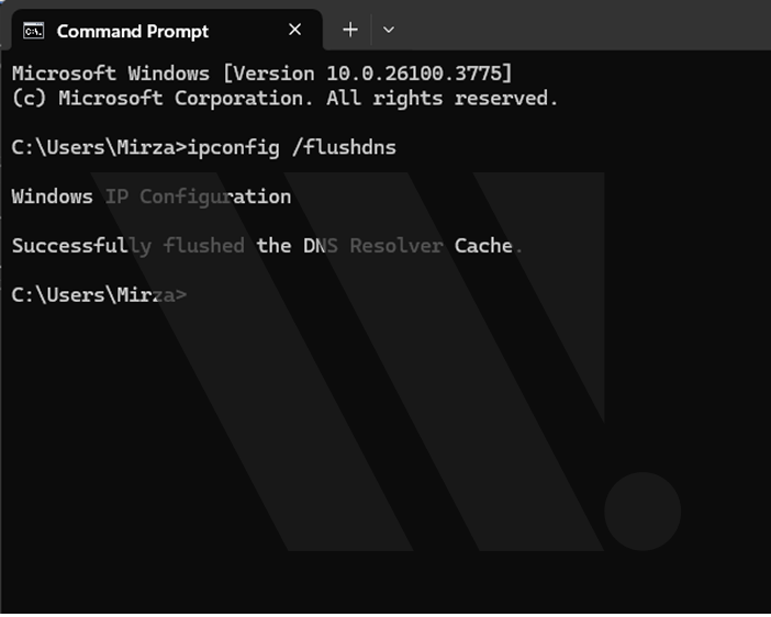 Flush DNS Cache