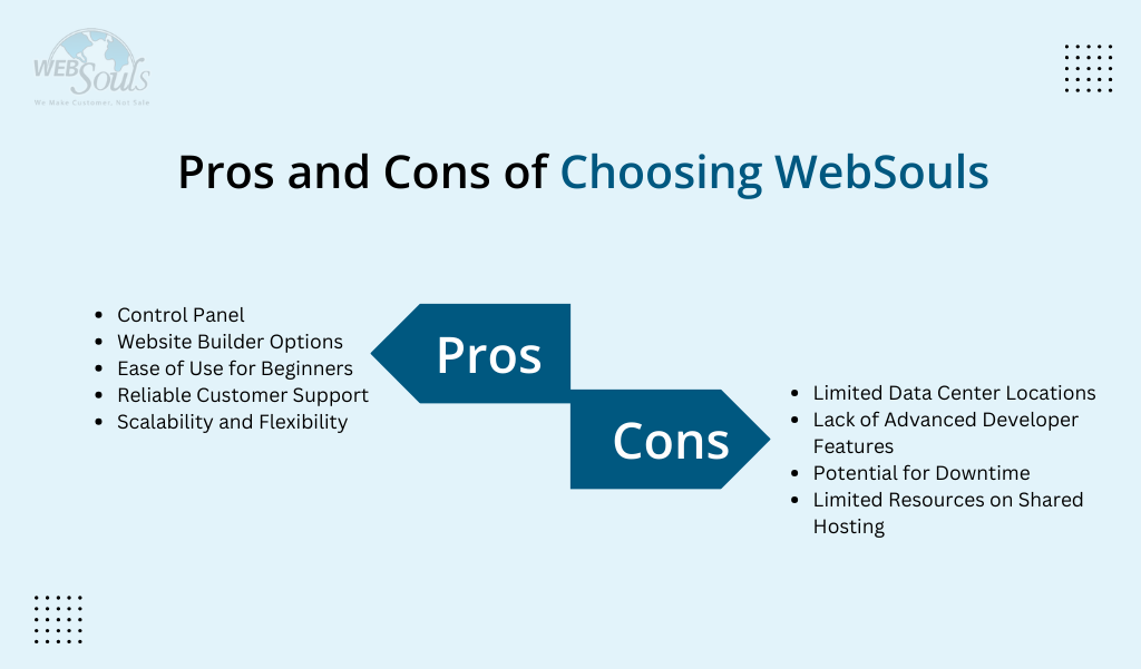 Pros and Cons of Choosing WebSouls