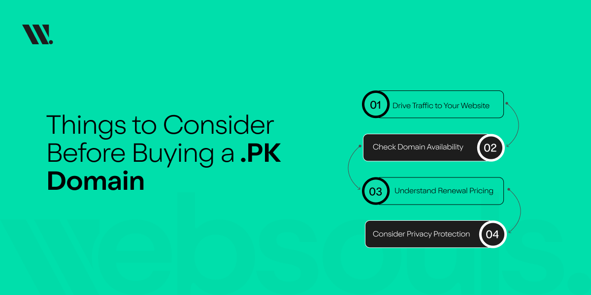 things-to-consider-before-buying-pk-domain